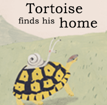 Tortoise finds his home